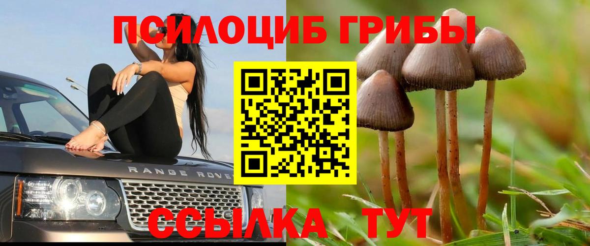 Галлюциногенные грибы Magic Shrooms  Галлюциногенные грибы GOLDEN TEACHER  Вход с VPN  Грозный 