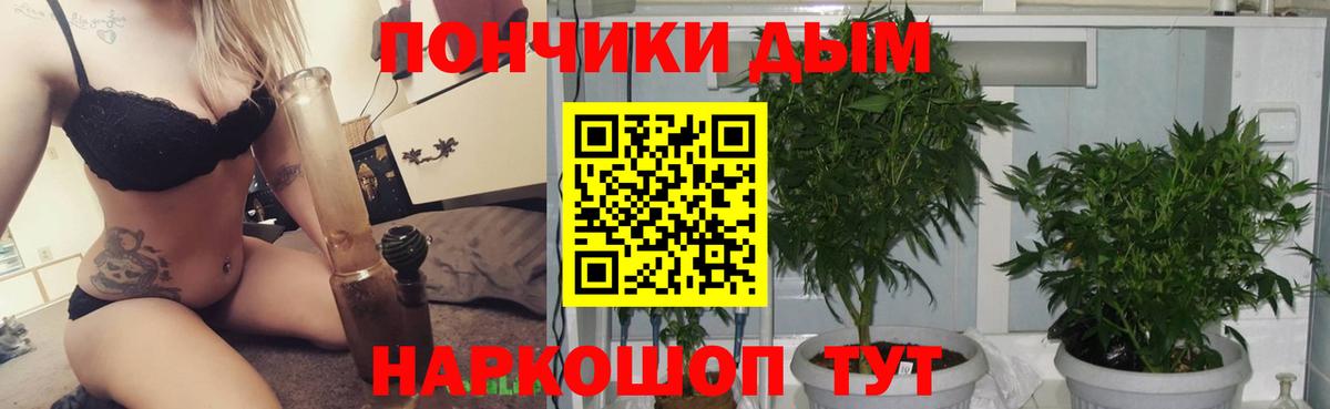 Каннабис конопля  Марихуана тримм  Шишки марихуана MAZAR  Вход с VPN  Грозный  Бошки Шишки планчик 